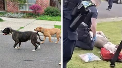 Mum mauled by dogs walking baby in Melbourne .